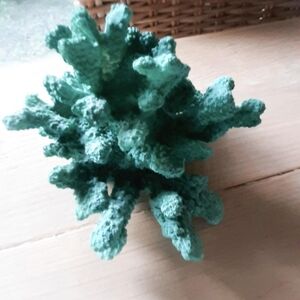 Decorative Green Artificial Coral Beachy Table Decor